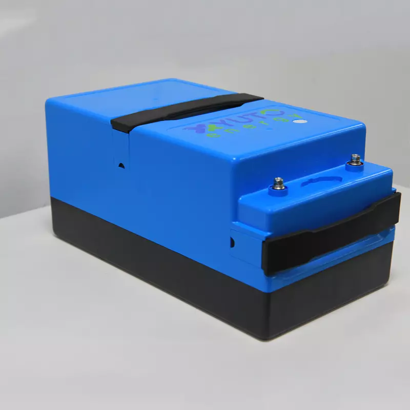 Electric 2 Wheeler 48V20A